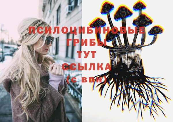 ГАЛЛЮЦИНОГЕННЫЕ ГРИБЫ Богородицк