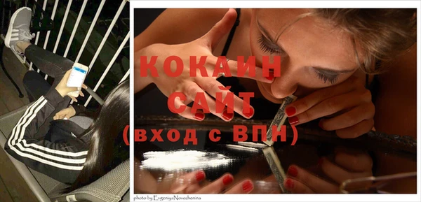 ГАЛЛЮЦИНОГЕННЫЕ ГРИБЫ Богородицк