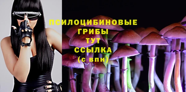 apvp Краснослободск