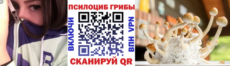 как найти   Кириллов  Галлюциногенные грибы мицелий 